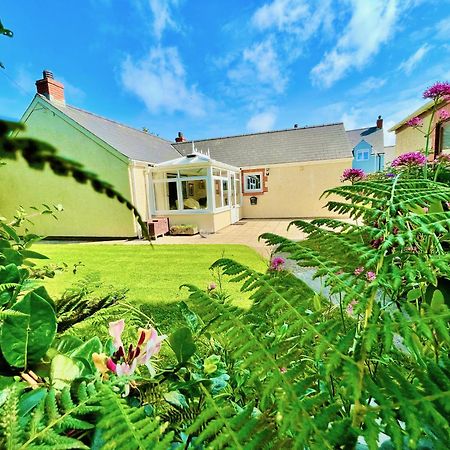 Cosy Cottage - Whitchurch, Solva Exteriér fotografie